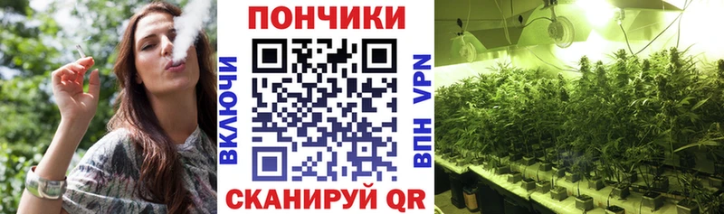 Бошки марихуана Amnesia  Чаплыгин 